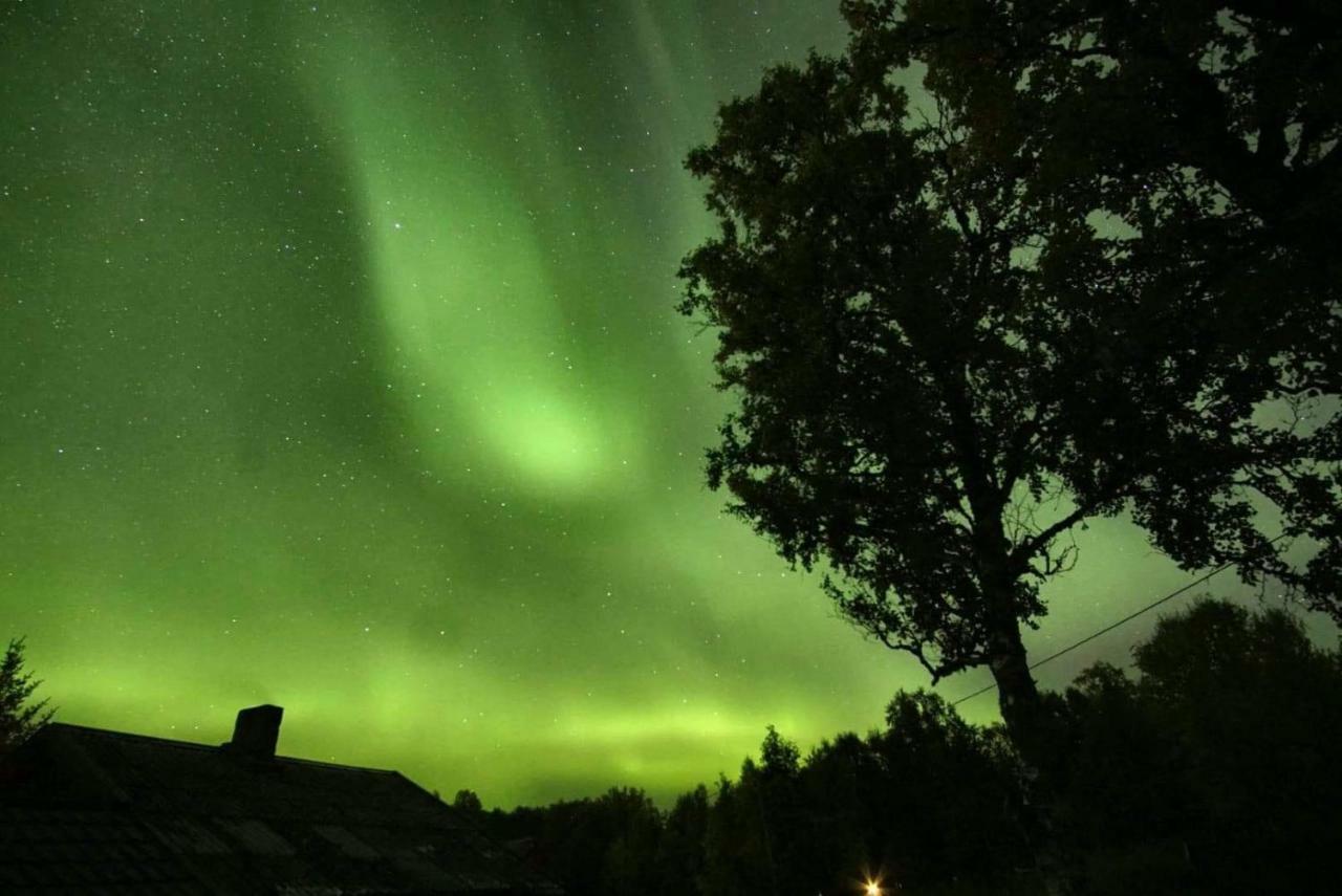 Vila Karistua Hansnes Exteriér fotografie